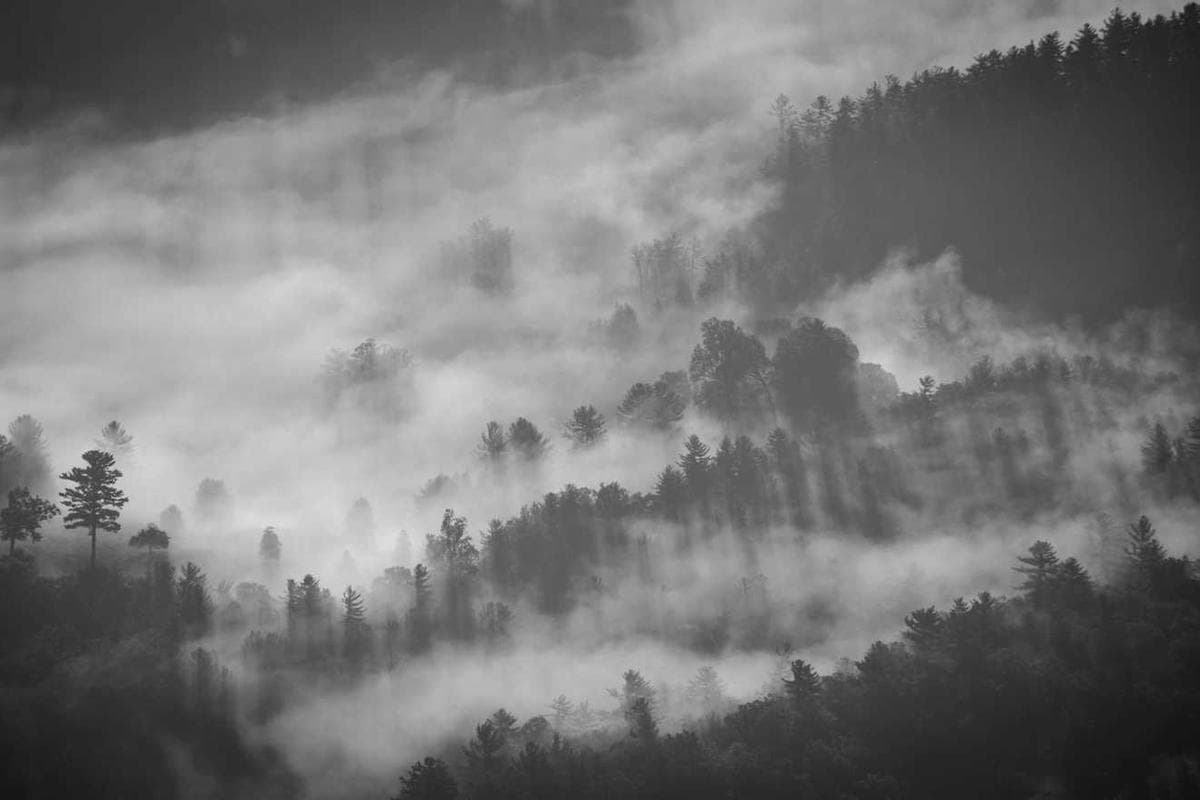 Чингэлтэй 2 өрөө шинэ барилга - Зураг 4