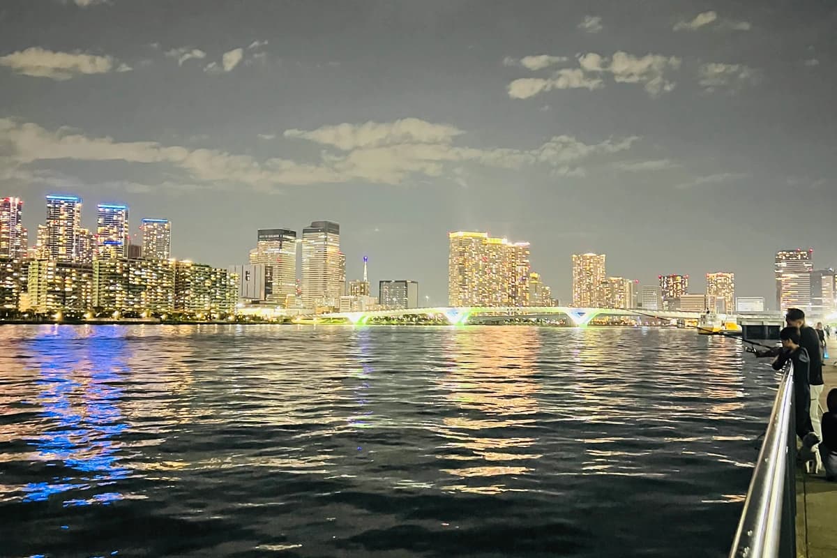 My zar - Зураг 2